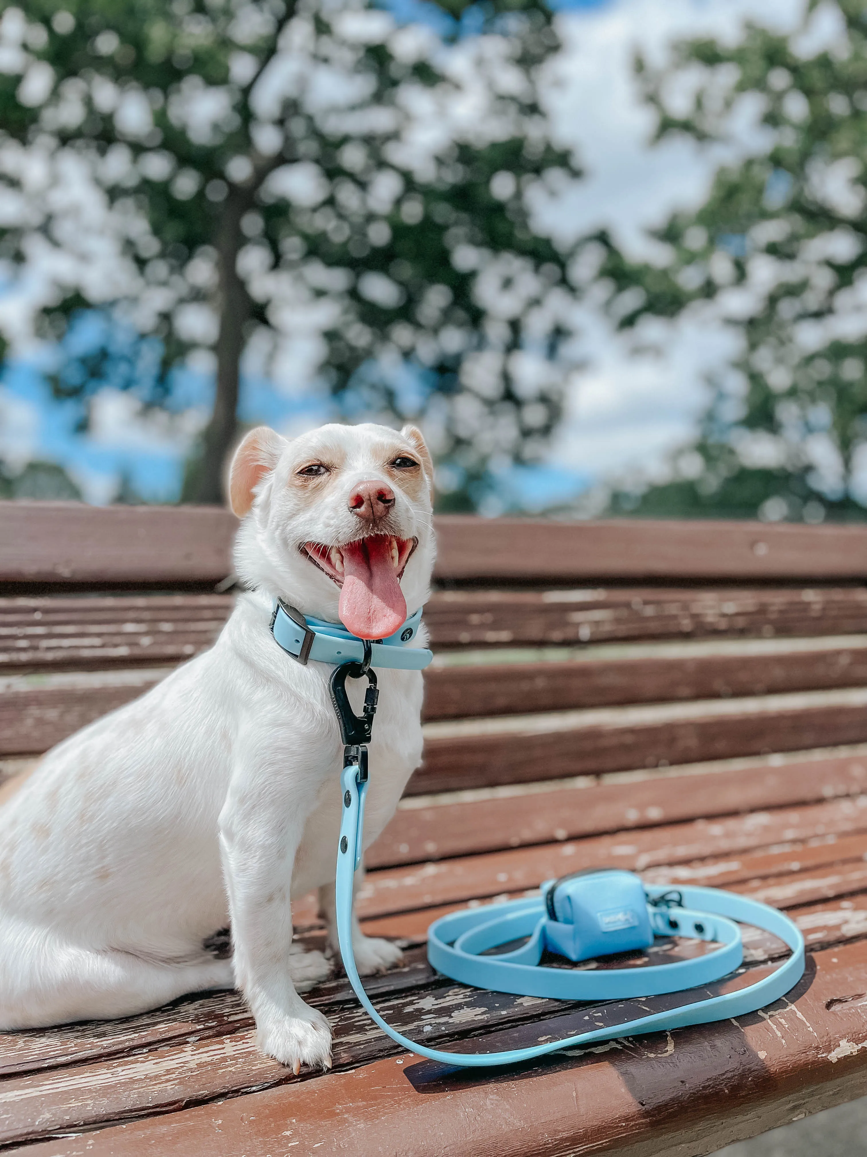 Dog Waterproof Collar - Blue