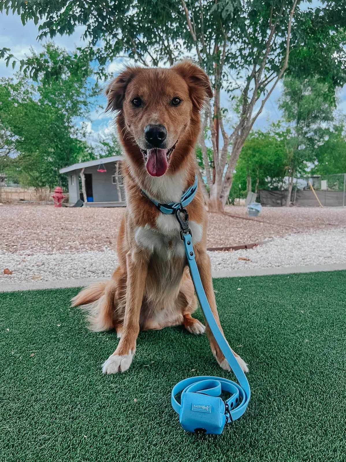 Dog Waterproof Collar - Blue