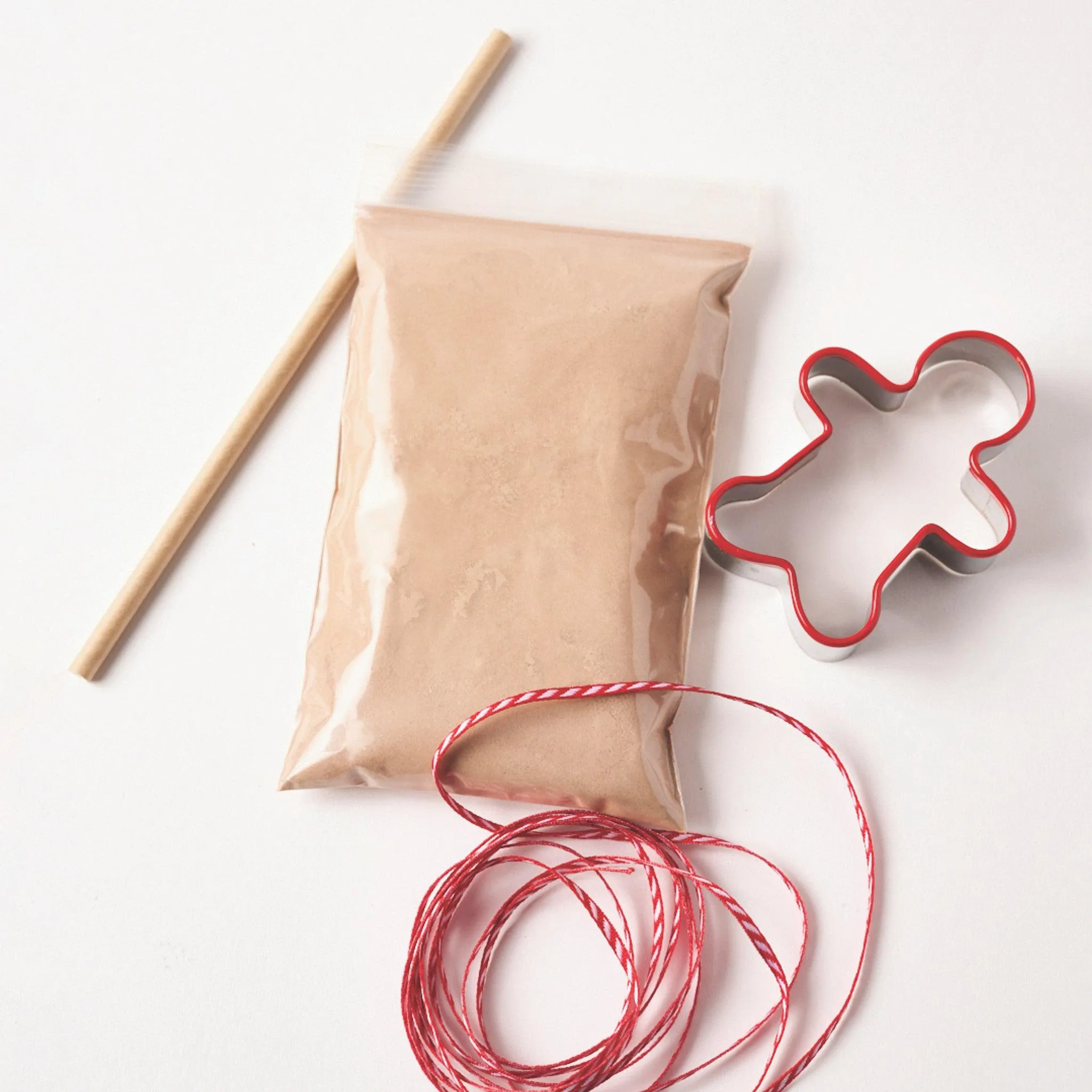 Eco-Kids Gingerbread Ornament Kit