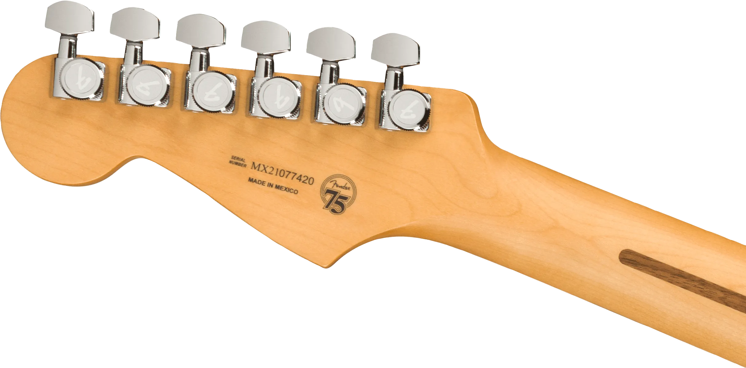 Fender Player Plus Stratocaster HSS Pau Ferro Fingerboard - Silverburst