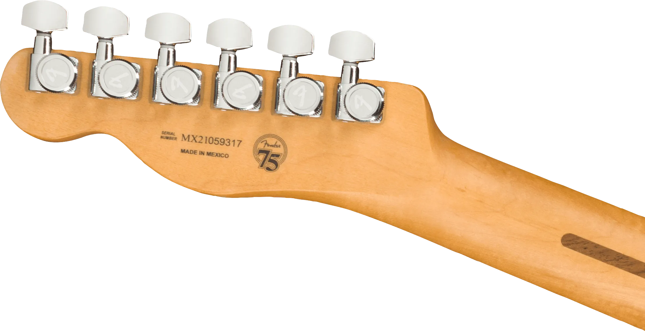 Fender Player Plus Telecaster Maple Fingerboard - Cosmic Jade