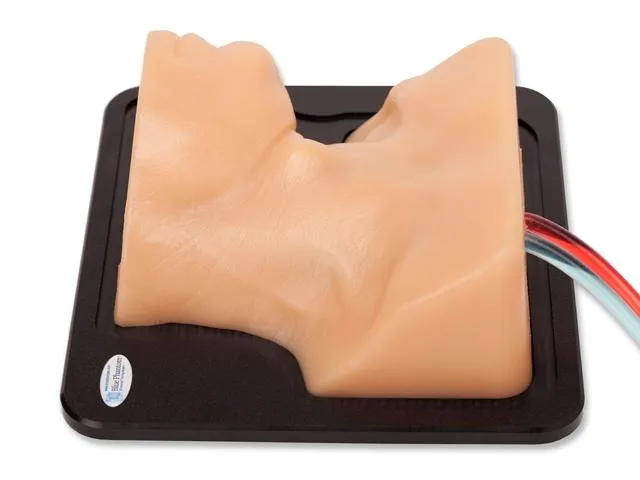Internal Jugular Central Line Ultrasound Manikin