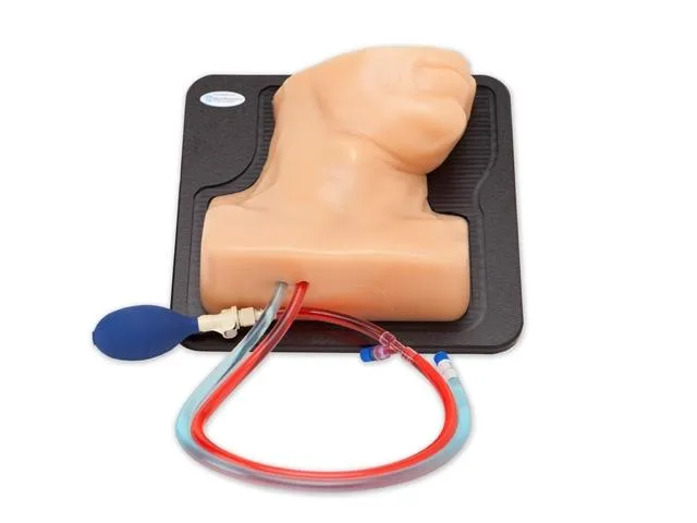 Internal Jugular Central Line Ultrasound Manikin