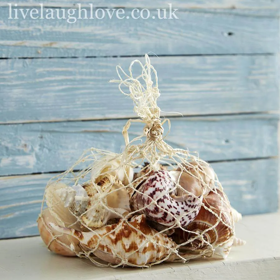 Natural Shells In Net Bag